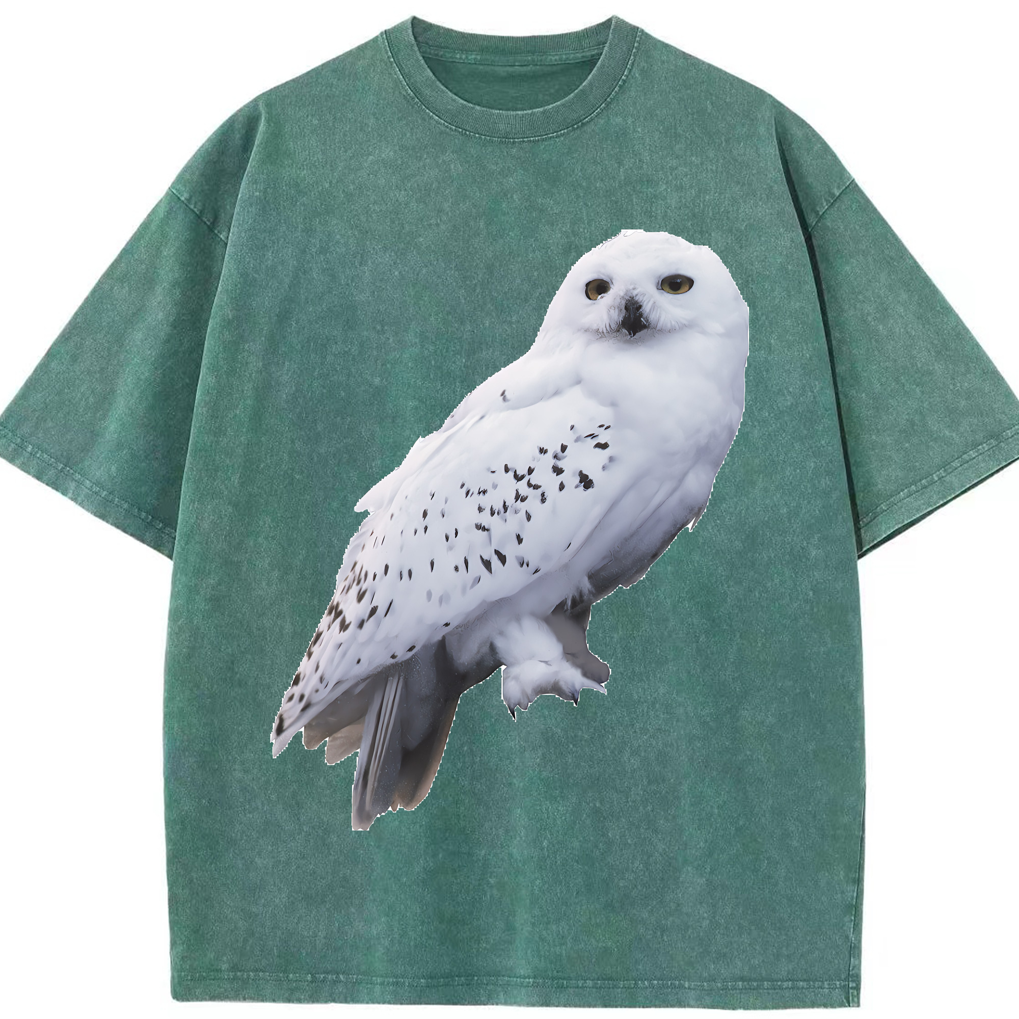 （画像用） Harry Potter ハリー・ポッターシリーズ 綿100% ヴィンテージ風 半袖Tシャツ（フロントプリント）
